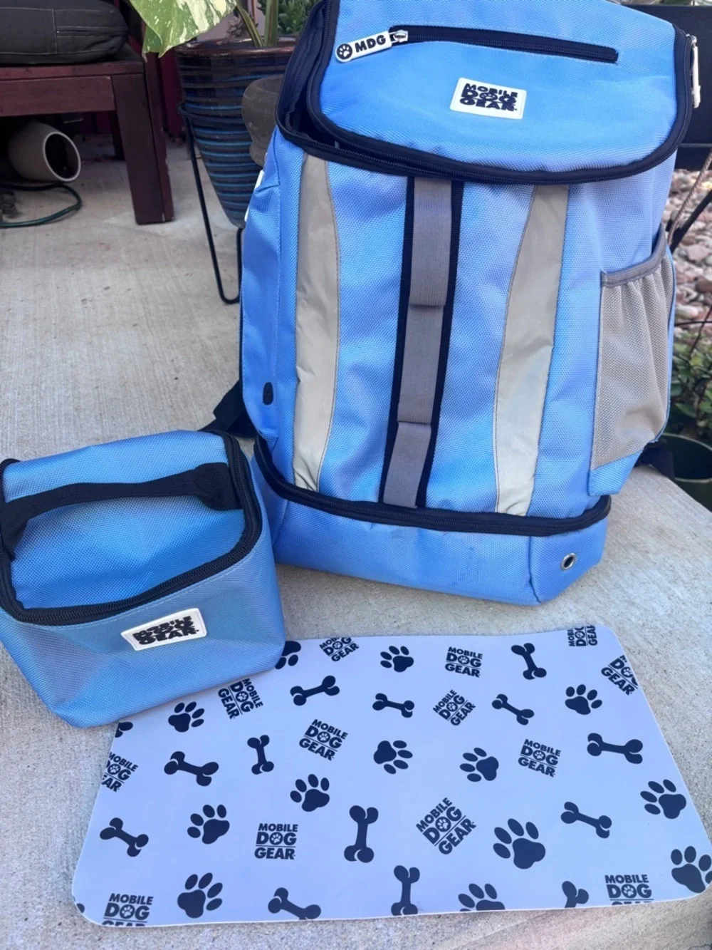 Dog gear this pet